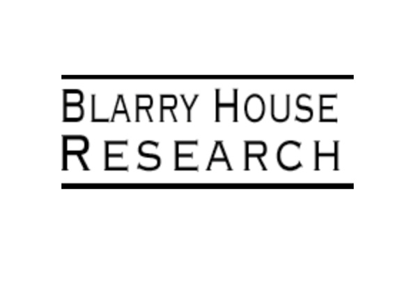 Blarry Research Paid Surveys Review