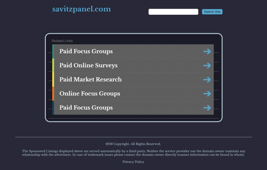 Savitz Research Paid Surveys Review